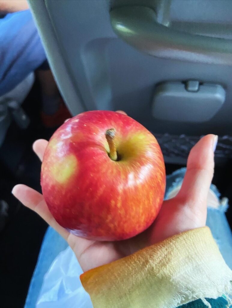 写真 2026-04-07 20 27 45