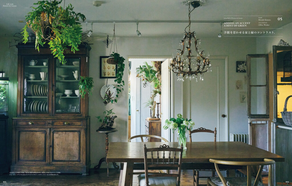 ドリナリアやフィロデンドロンなどの葉が部屋のシャンデリアともに飾られている、木村博さんの家。広さに限りがある部屋の空間を生かすために「吊るして育てる」工夫を。 | ドリナリアやフィロデンドロンなどの葉が部屋のシャンデリアとともに飾られている、木村博さんの家。広さに限りがある部屋の空間を生かすために「吊るして育てる」工夫を。