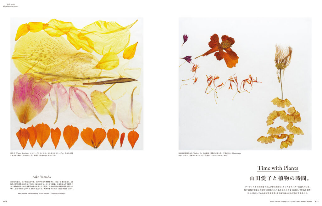 アーティスト・山田愛子さんは、日々、目にしている身近な花や草、種子を保存して作品を制作。季節の花だけでなく、ピーマンや風船カズラ、ネコヤナギの種なども実は大きな宝物なのだ。