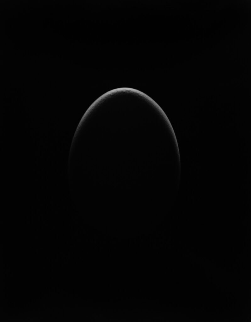 1-egg artwork9-2023