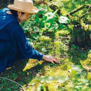家のなかにも、庭を連れてくる。料理家・細川亜衣さんが大切に整えるふたつの庭。