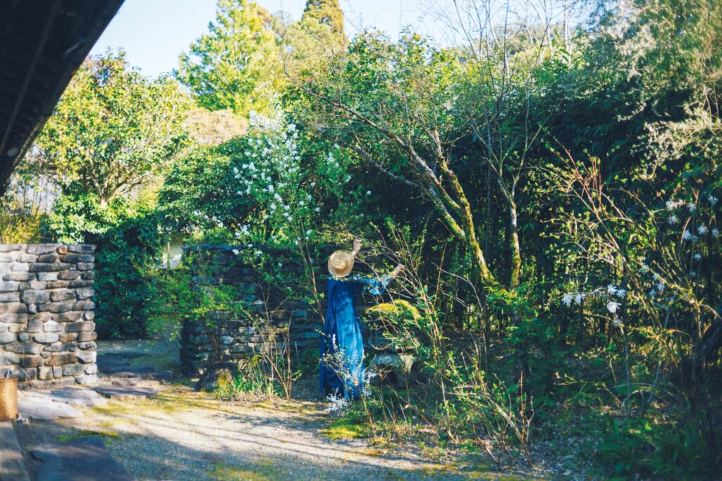 「南の庭」には出自もさまざまな和洋の植物が混ざり合う。白花がほころぶバイカウツギや小手毬、野草の蕗やミツバ、ソルダムやジューンベリーなどの果樹も。