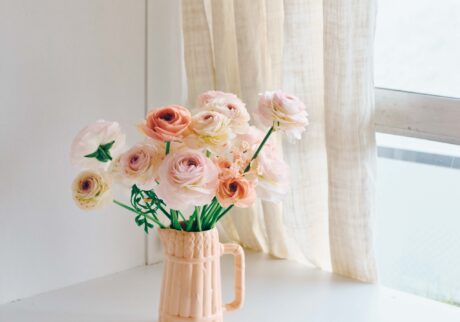 ラナンキュラス、キルタンサスー薄いピンクの花瓶