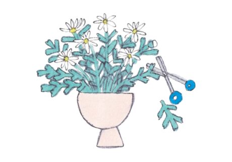 「切る」のは怖くない、植物のため。造園家・大野八生さんに教わる、花と緑の暮らしを整えるアイデア。vol.8