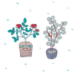 「にわか雨」のときこそしっかり水やりを。造園家・大野八生さんに教わる、花と緑の暮らしを整えるアイデア。vol.9