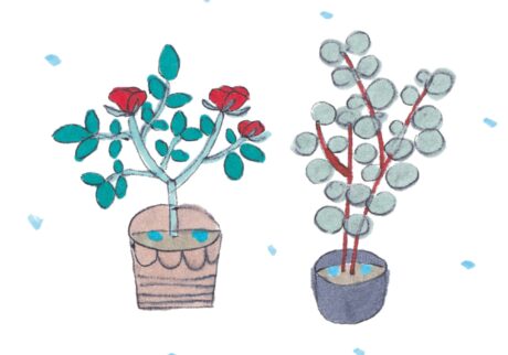 「にわか雨」のときこそしっかり水やりを。造園家・大野八生さんに教わる、花と緑の暮らしを整えるアイデア。vol.9