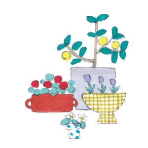 庭がなくても「寄せ鉢」で花壇を。造園家・大野八生さんに教わる、花と緑の暮らしを整えるアイデア。vol.11