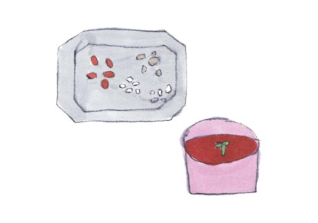 果物の種蒔きは、結果よりも「時間」を楽しむ。造園家・大野八生さんに教わる、花と緑の暮らしを整えるアイデア。vol.13