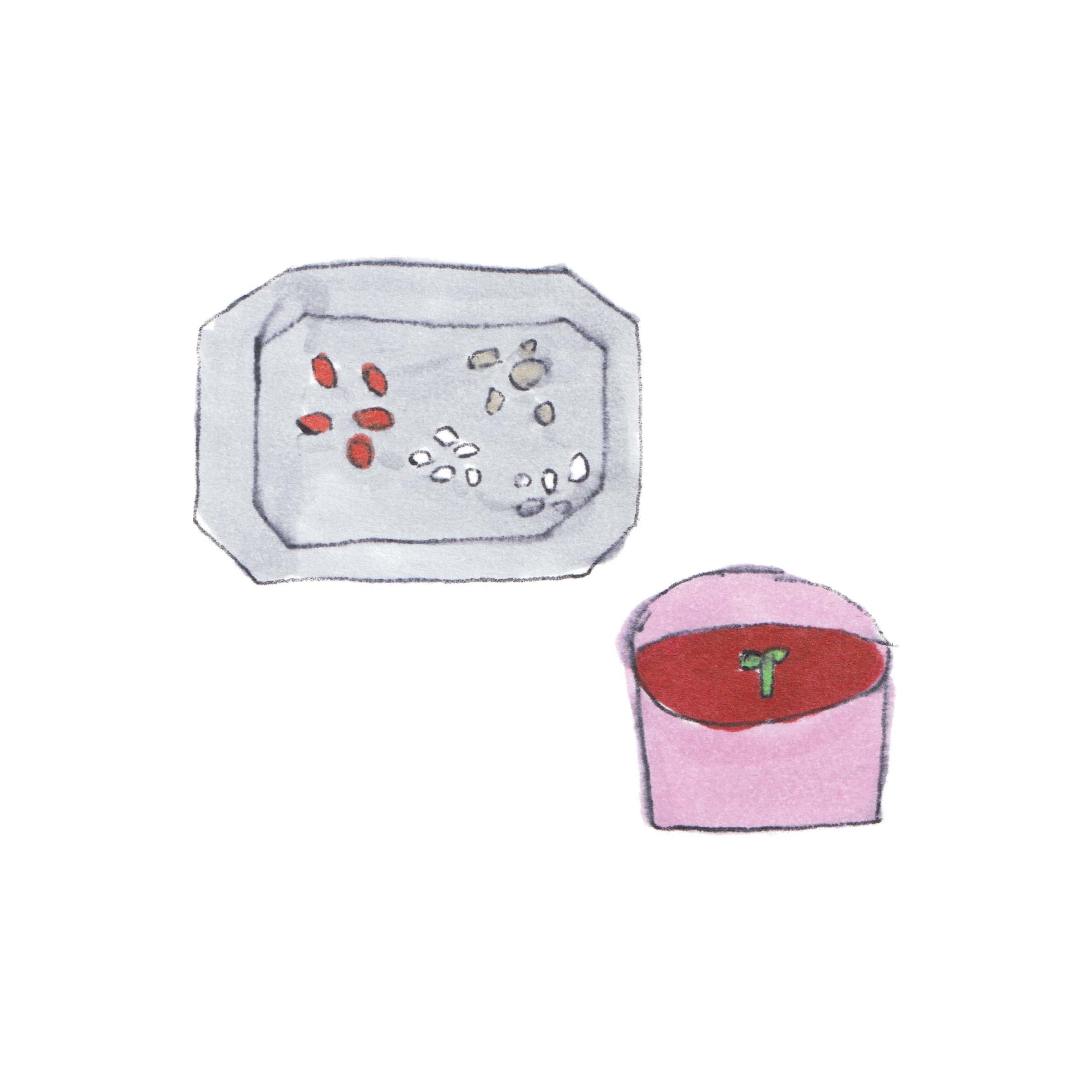 果物の種蒔きは、結果よりも「時間」を楽しむ。造園家・大野八生さんに教わる、花と緑の暮らしを整えるアイデア。vol.13