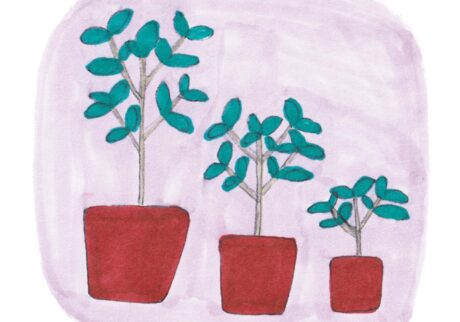 植物のサイズは「仕立て方」で変えられる。造園家・大野八生さんに教わる、花と緑の暮らしを整えるアイデア。vol.15