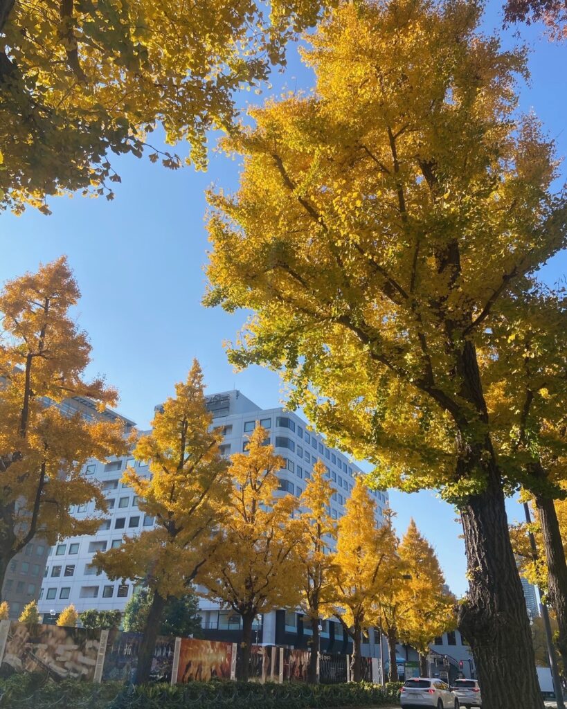旅は私を救ってくれない。思いつき、一人旅。写真と文 祷 キララ (女優) 