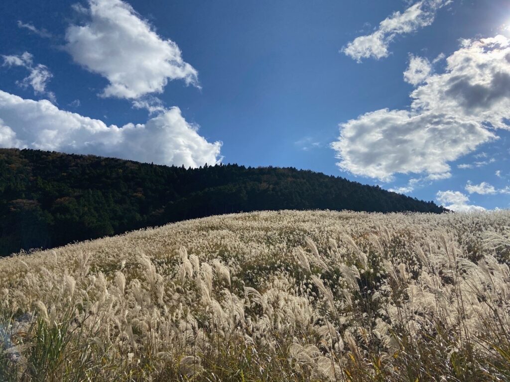 旅は私を救ってくれない。思いつき、一人旅。写真と文 祷 キララ (女優)