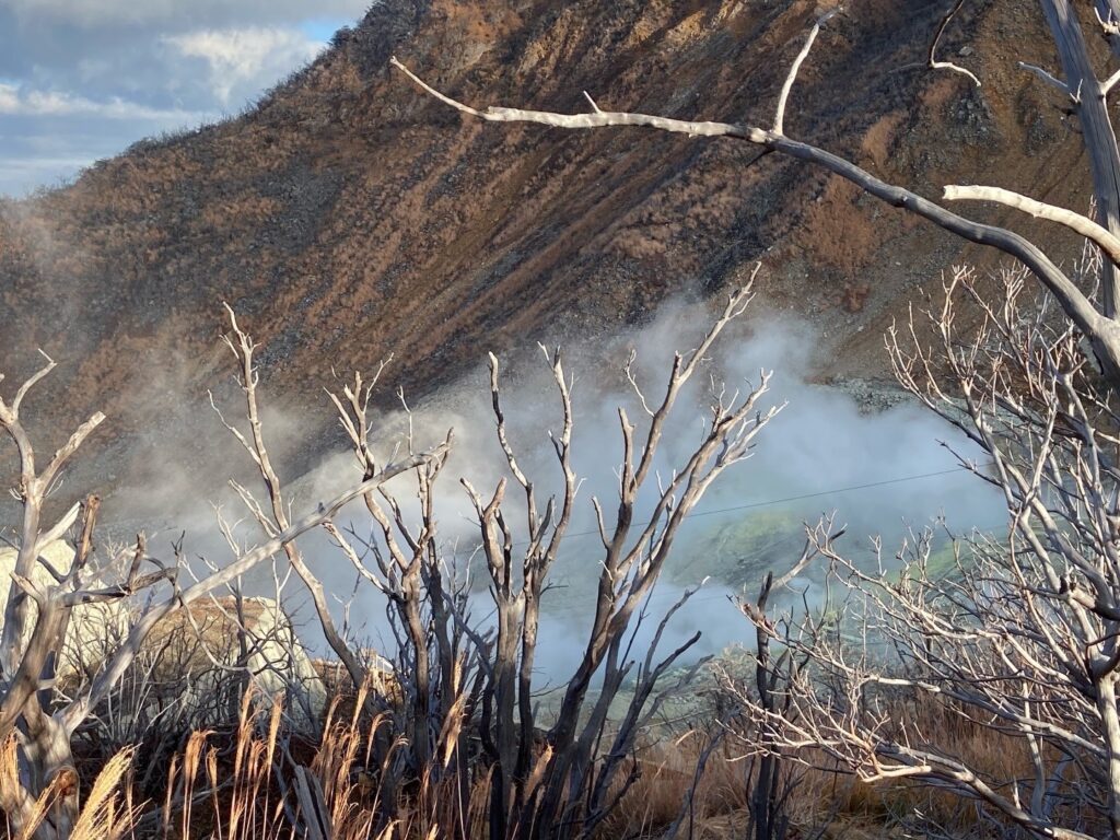 旅は私を救ってくれない。思いつき、一人旅。写真と文 祷 キララ (女優)