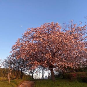 思いつき、ひとり旅。私の春を始めるために、秋田を歩く。 写真と文：祷キララ (女優) #1