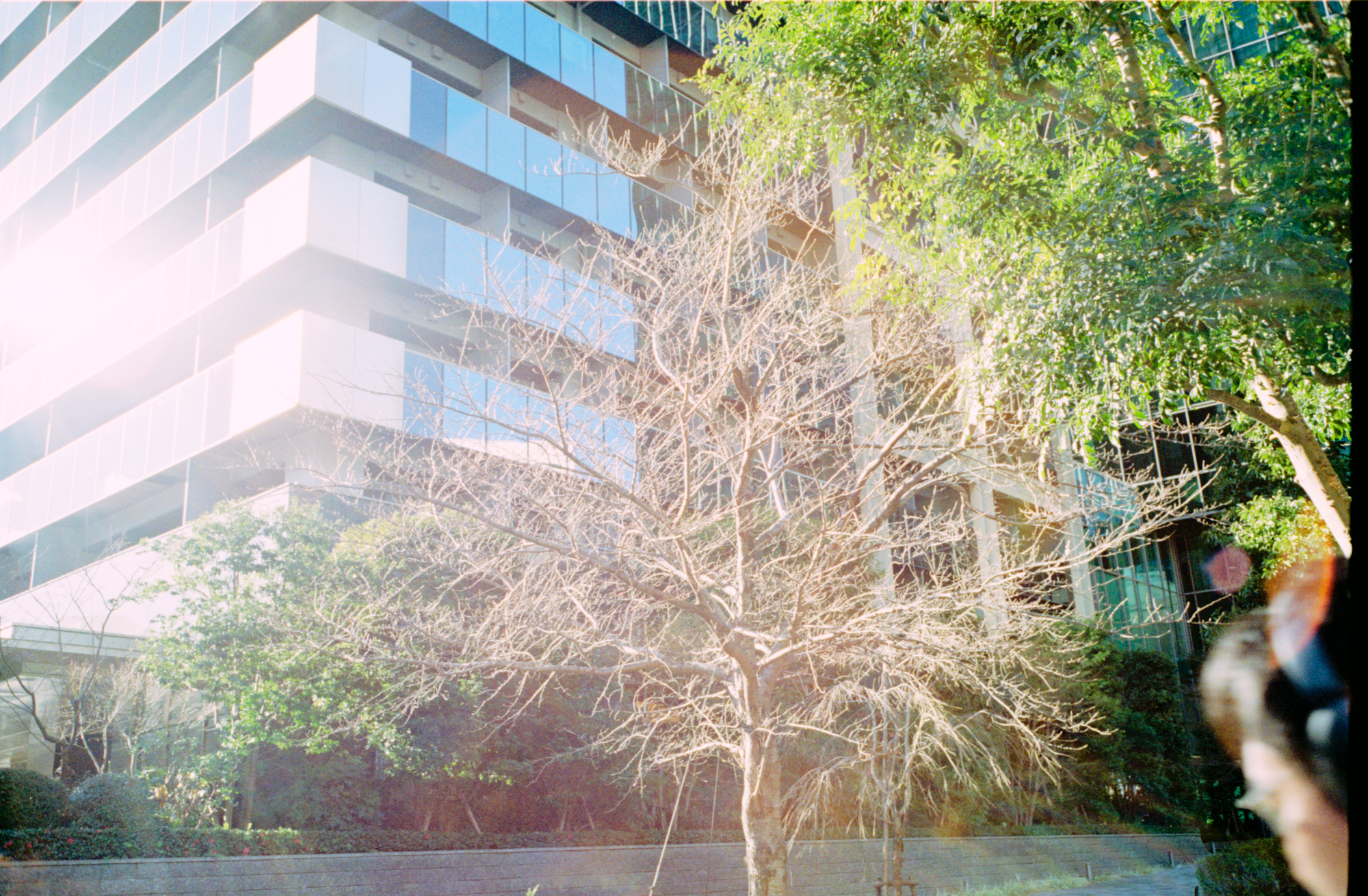 5月の「今月の写真家、今日の一枚」。渡邉光平さんの作品をまとめて振り返り。