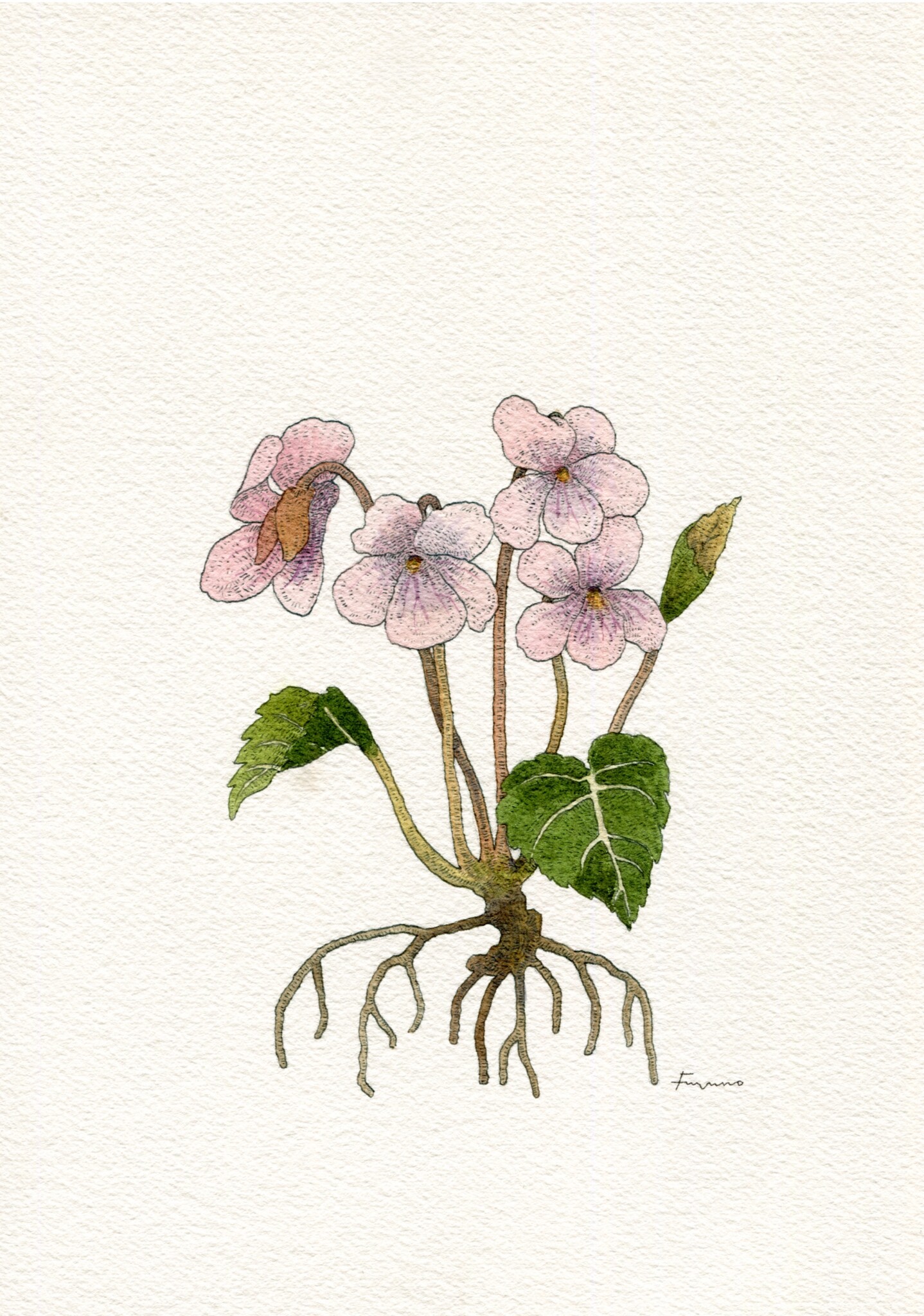 今日１日を、このイラストと。冬野 アヤネvol.14