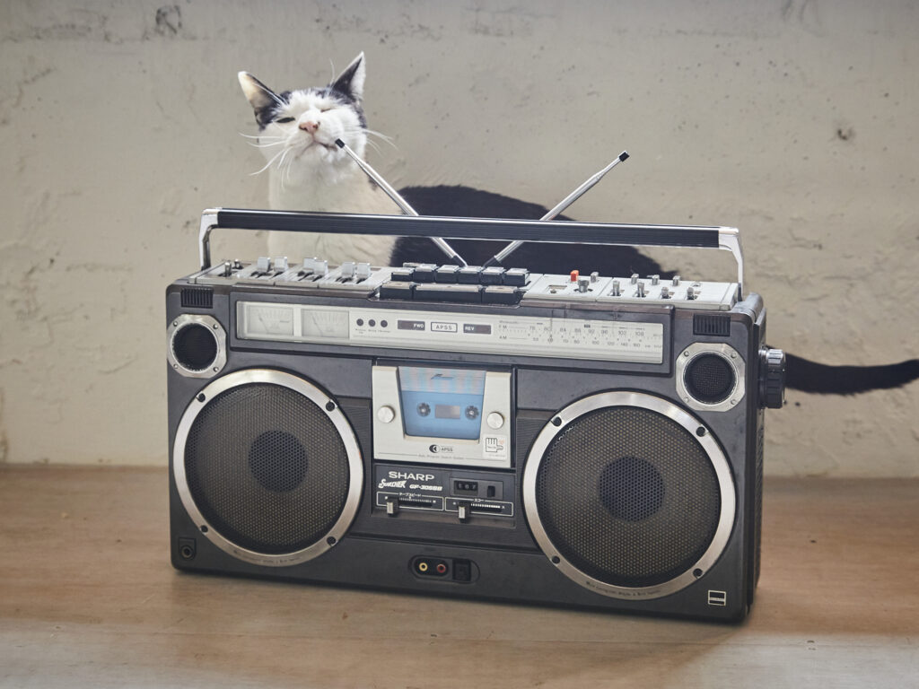 260325_013+ | お気に入りの1台、〈シャープ〉の「GF-305SB」。