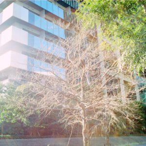 言葉にするのは苦手だから_01 | 言葉にするのは苦手だから