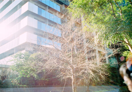 言葉にするのは苦手だから_01 | 言葉にするのは苦手だから