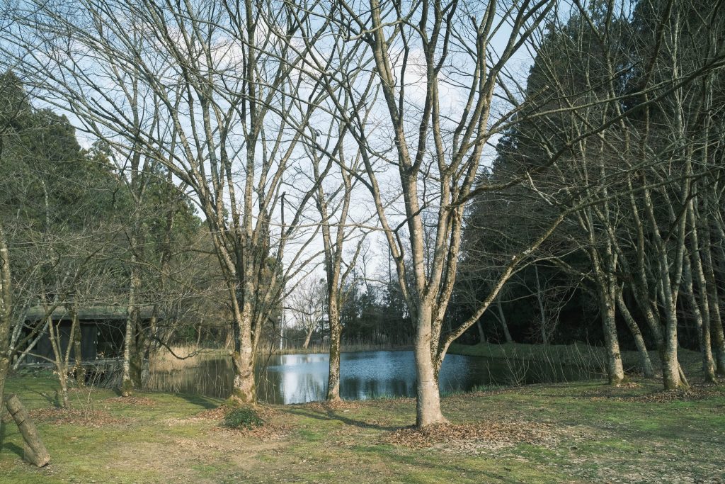 庭の池が凪いでいる。春、がんもの味わい。〈春夏秋冬、能登めぐり〉写真と文：小川紗良 (アーティスト) #1 | 庭の池が凪いでいる。