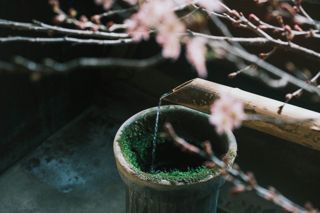 玄関には、清らかな水の音と季節の花。春、がんもの味わい。〈春夏秋冬、能登めぐり〉写真と文：小川紗良 (アーティスト) #1 | 玄関には、清らかな水の音と季節の花。