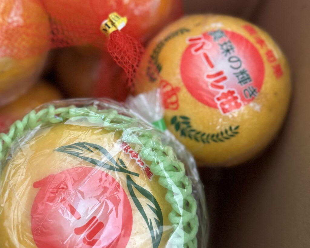 匂いは嗅ぐものの……。おちょこ エキゾチックショートヘア | パール柑っていうフルーツなんだって。ぽのぽの。