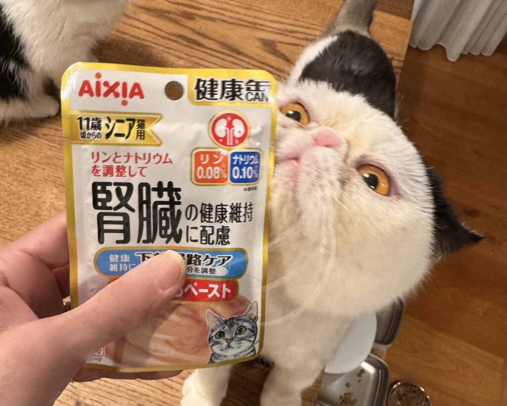 グルメな僕のお気に入り。おちょこ エキゾチックショートヘア | おいしくって、からだのケアもしてくれるなんて最高すぎる！ 毎日食べたいなぁ、ぽのぽの♪