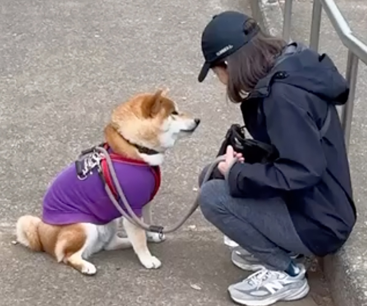 おやつをいただければ歩きます。ぼくはそういうタイプです。