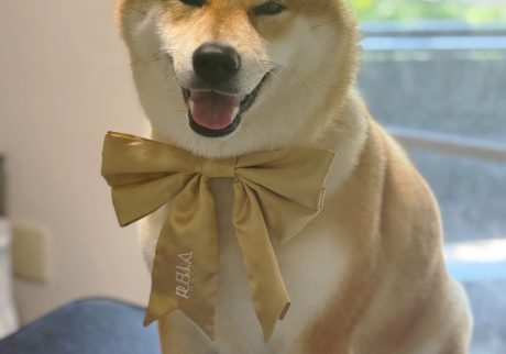 海遊びの翌日はシャンプーです2