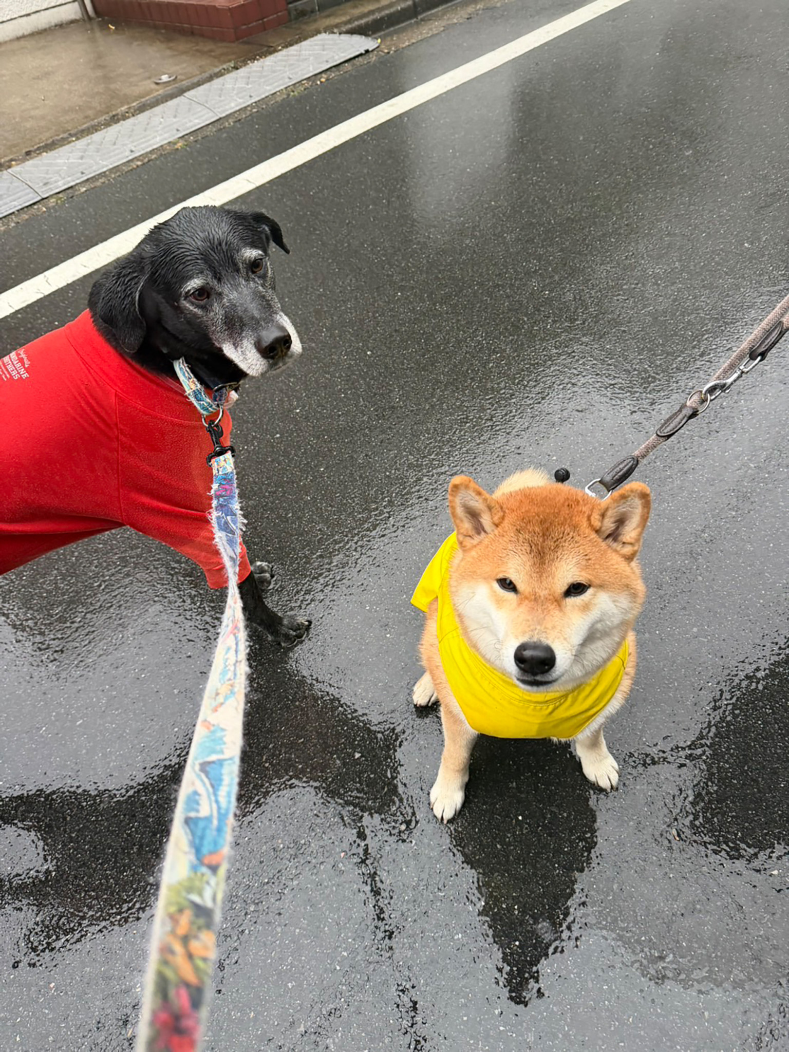 雨の日も楽しい。できればレインコートは着たくないけどね。