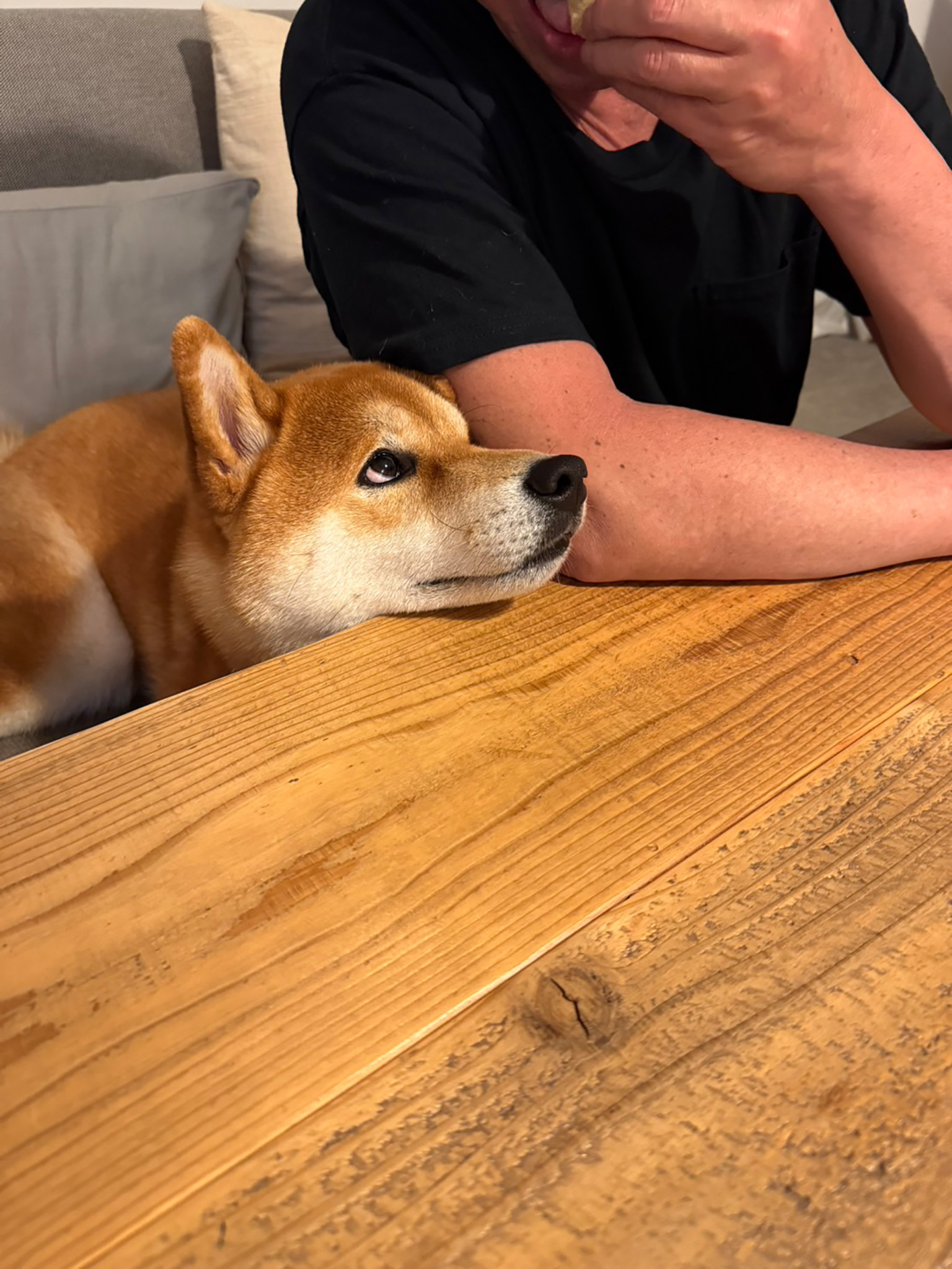 何かくれそうな予感がする。え、くれる？ くれない？ どうなの？