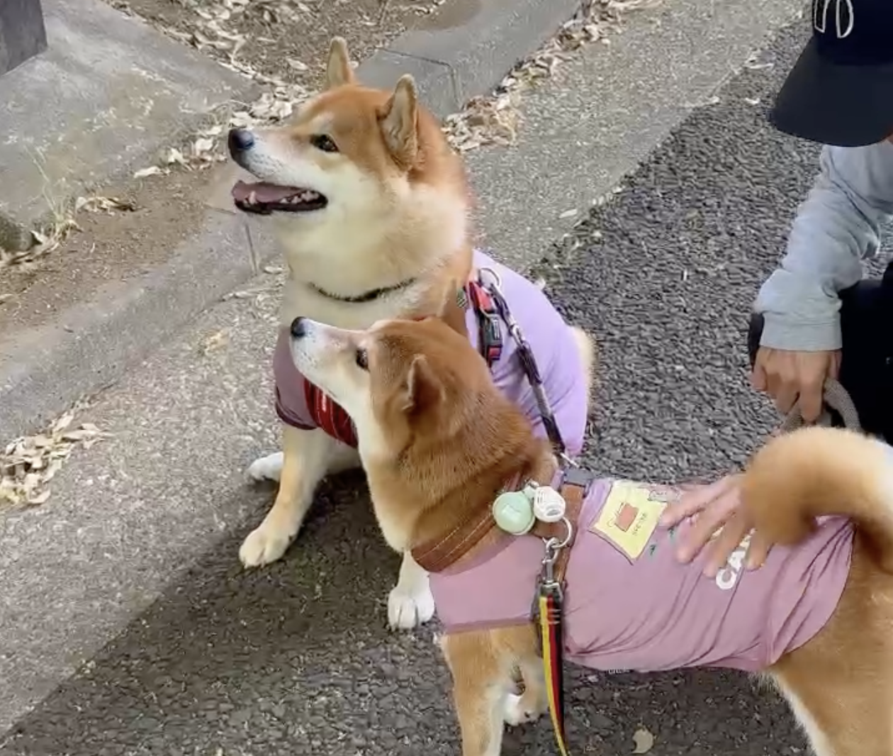 何だかおそろなぼくら。サイズ感はだいぶ違いますけどね〜。