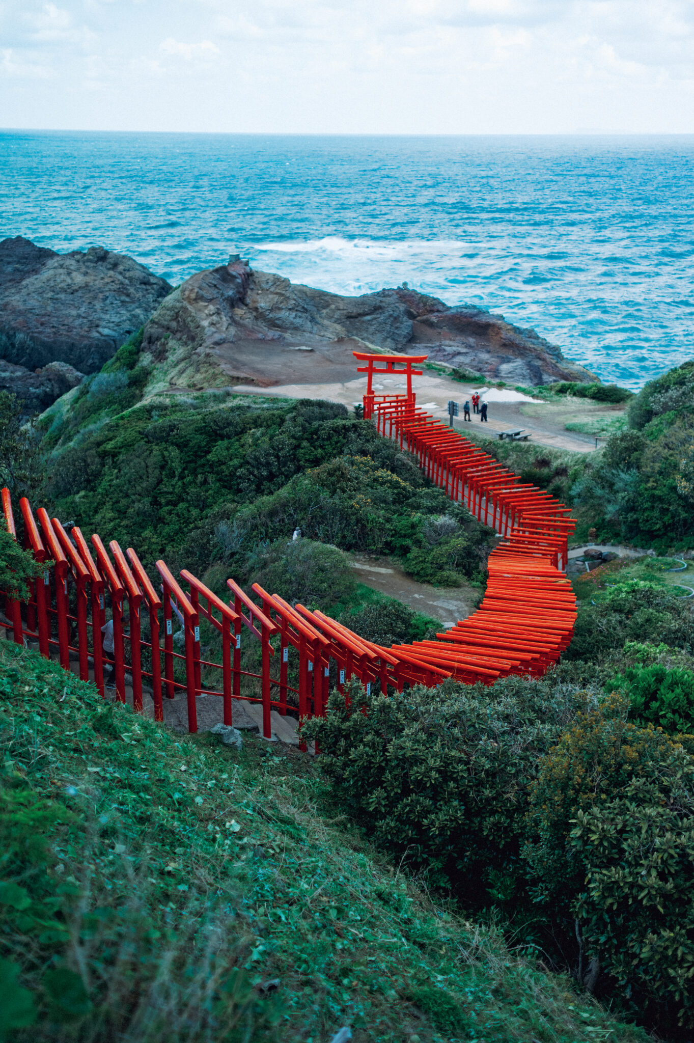 8603b4ae774fd31d5bb2471d2684a4