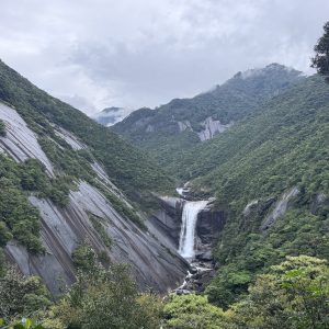 屋久島を代表する滝のひとつ「千尋の滝」を前に。雄大な大自然を前に、思わず息をのむ瞬間でした。