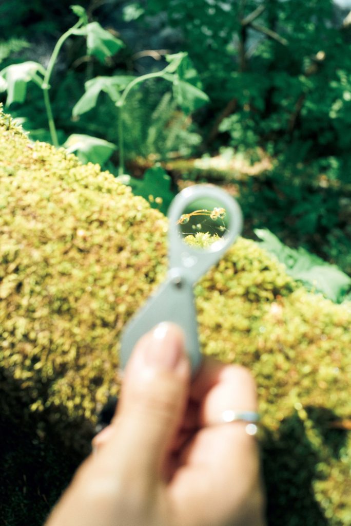 約300種の苔が生息する奥入瀬渓流。苔むす岩肌や橋の欄干をルーペで覗くと、ミクロの森が広がる。『奥入瀬渓流ホテル』で過ごす、川のせせらぎに包まれる癒やしの滞在。坂本美雨さんと巡る、青森への旅。 | 約300種の苔が生息する奥入瀬渓流。苔むす岩肌や橋の欄干をルーペで覗くと、ミクロの森が広がる。