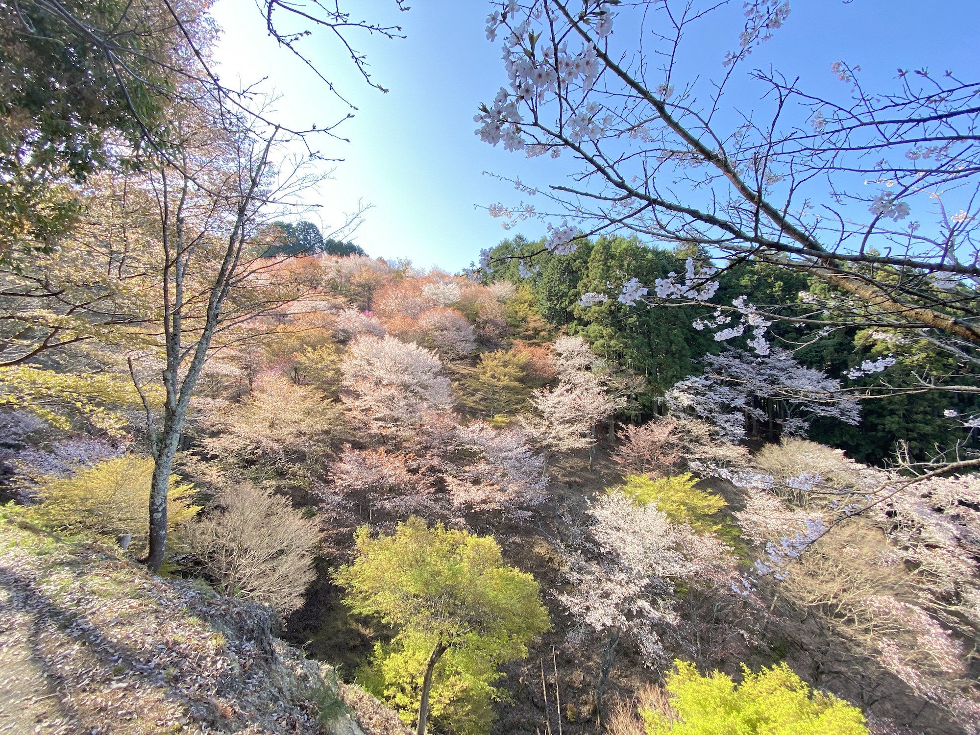 吉野、よく見よ！ 編集後記「旅と、本と」