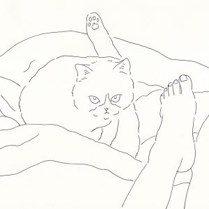 1 | 足元の猫Ⅰ
