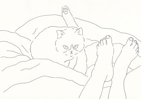 1 | 足元の猫Ⅰ