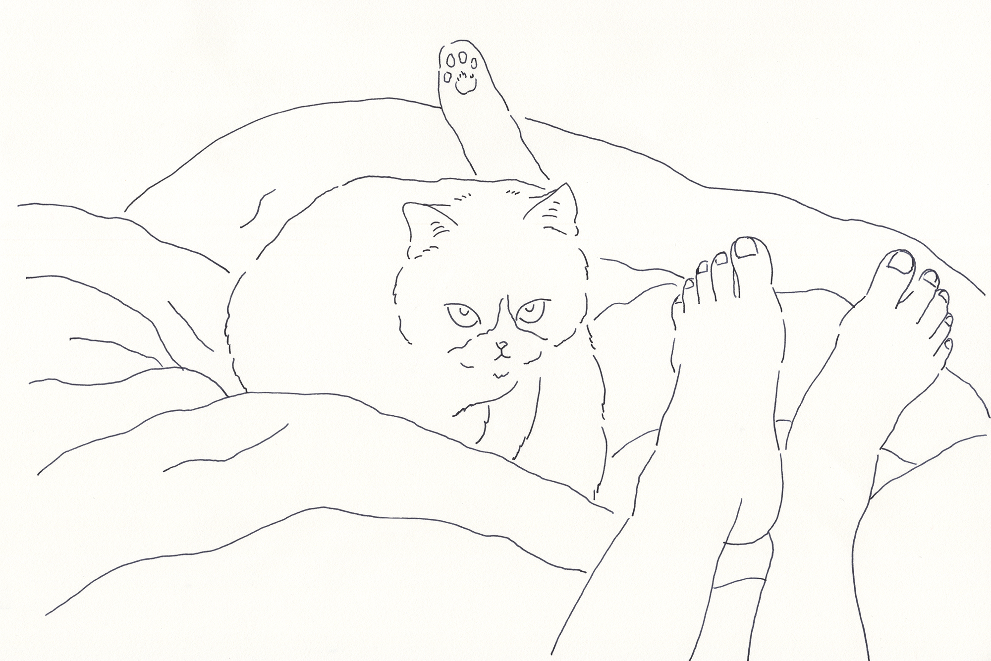今日１日を、このイラストと。鳥屋 菜々子vol.1