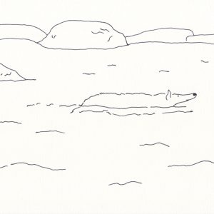 2 | 海