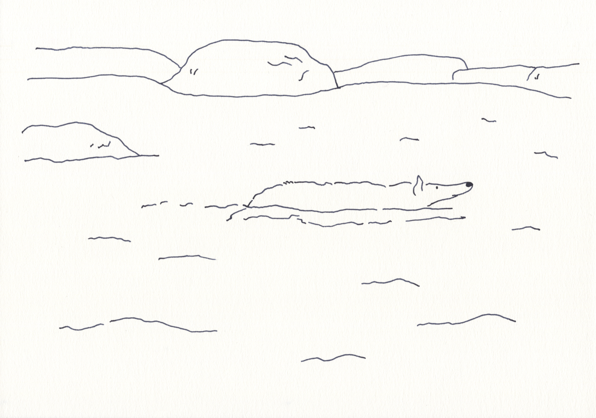 今日１日を、このイラストと。鳥屋 菜々子vol.2