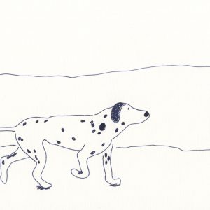 5 | 海辺の犬
