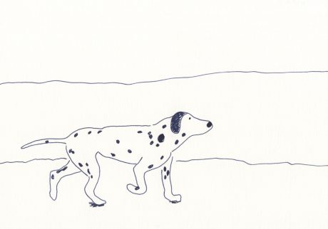 5 | 海辺の犬