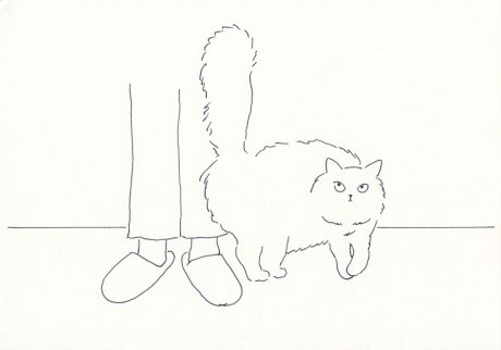 6 | 足元の猫Ⅱ