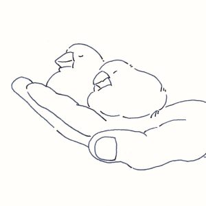7 | 文鳥Ⅰ