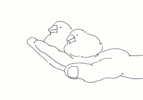 7 | 文鳥Ⅰ