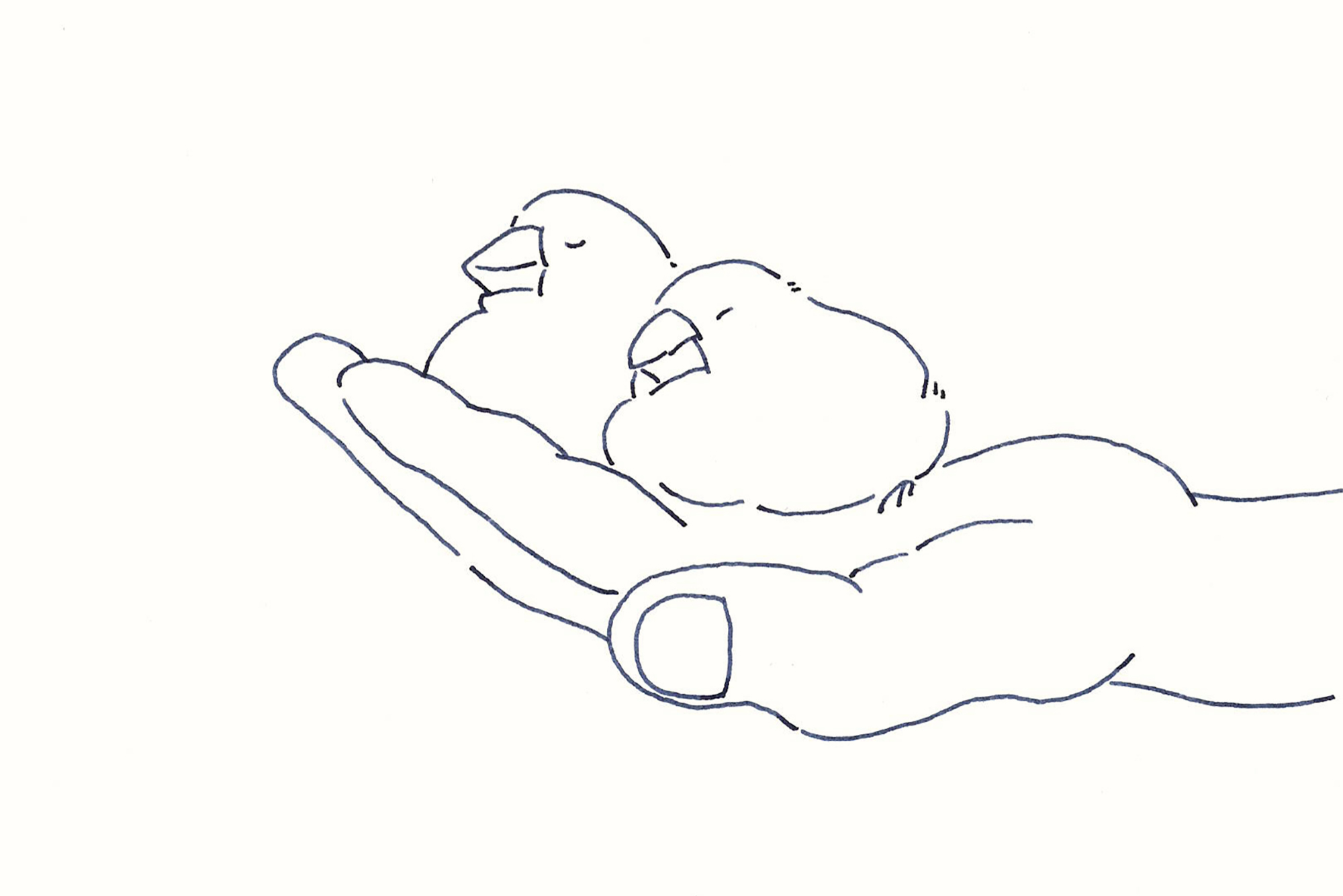 今日１日を、このイラストと。鳥屋 菜々子vol.7