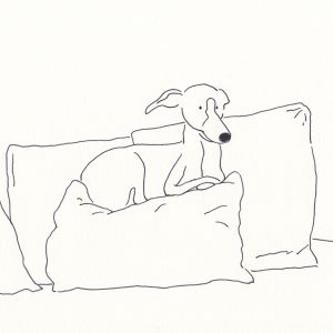 8 | クッションと犬