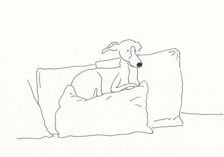 8 | クッションと犬