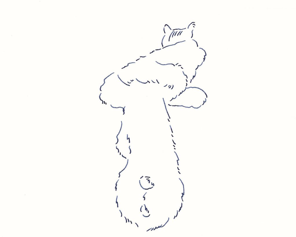 〈Untitled〉イラストレーター 鳥屋 菜々子 のイラスト | Untitled 〈Untitled〉イラストレーター 鳥屋 菜々子 のイラスト